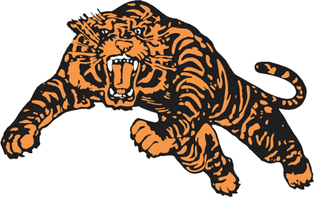 Princeton Tigers 1964-1983 Primary Logo diy DTF decal sticker